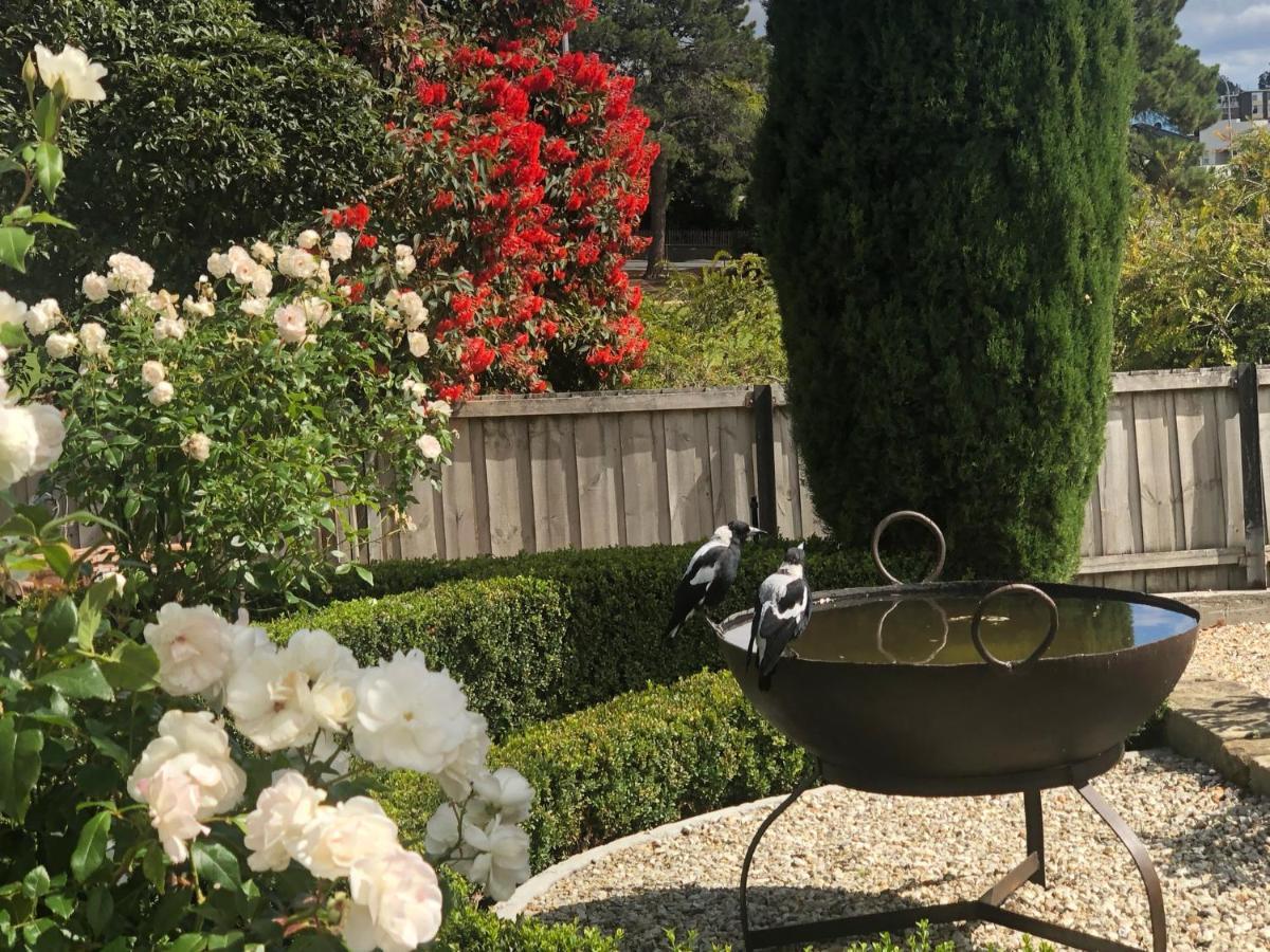 The Rivulet Bed and Breakfast Sandy Bay Eksteriør billede The Rose Garden at the San Francisco Botanical Garden